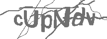 CAPTCHA Image